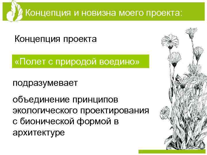 Концепция и новизна моего проекта: Концепция проекта «Полет с природой воедино» подразумевает объединение принципов