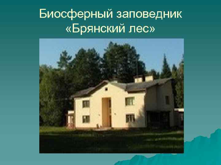 Биосферный заповедник «Брянский лес» 