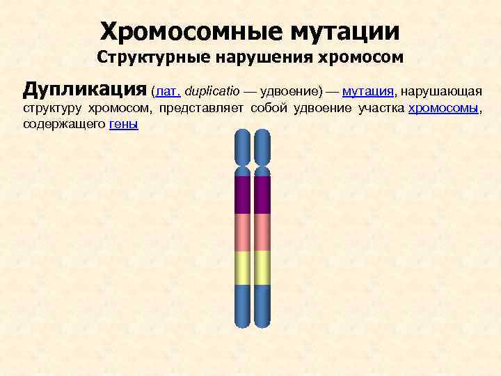 2 хромосома нарушения