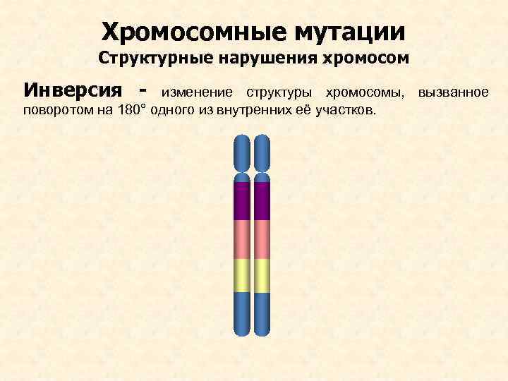 2 хромосома нарушения