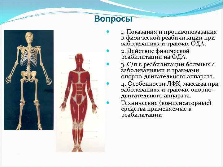 Вопросы 1. Показания и противопоказания к физической реабилитации при заболеваниях и травмах ОДА. 2.