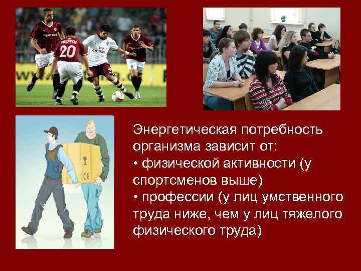 Энергетическая потребность организма зависит от: • физической активности (у спортсменов выше) • профессии (у