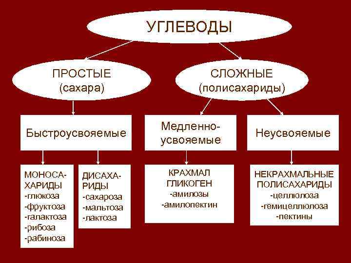 УГЛЕВОДЫ ПРОСТЫЕ (сахара) Быстроусвояемые МОНОСАХАРИДЫ -глюкоза -фруктоза -галактоза -рибоза -рабиноза ДИСАХАРИДЫ -сахароза -мальтоза -лактоза