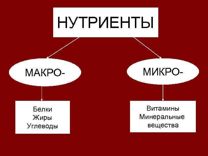 НУТРИЕНТЫ МАКРО- Белки Жиры Углеводы МИКРО- Витамины Минеральные вещества 