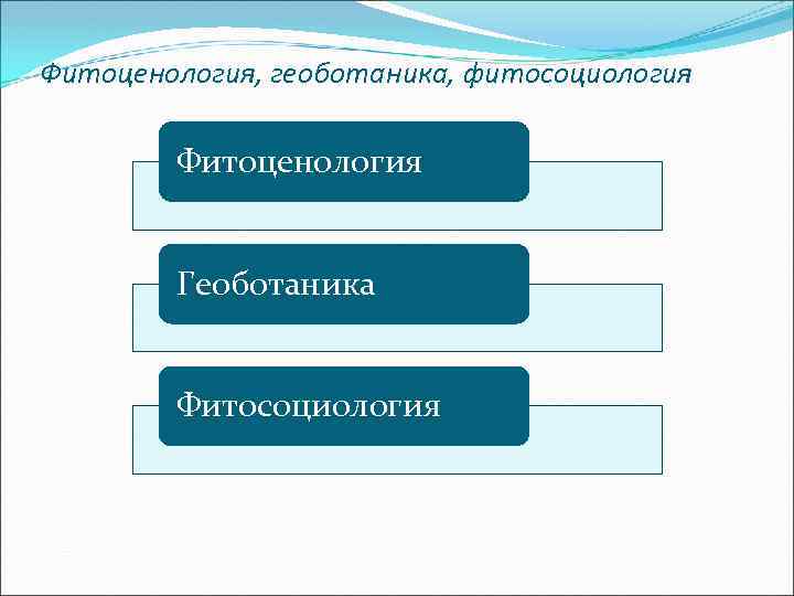 Фитоценология, геоботаника, фитосоциология Фитоценология Геоботаника Фитосоциология 