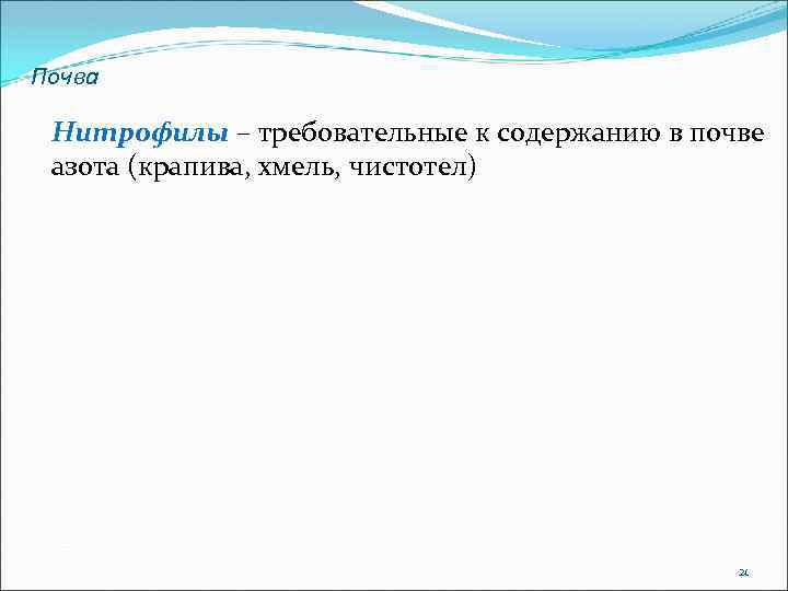 Почва Нитрофилы – требовательные к содержанию в почве азота (крапива, хмель, чистотел) 21 