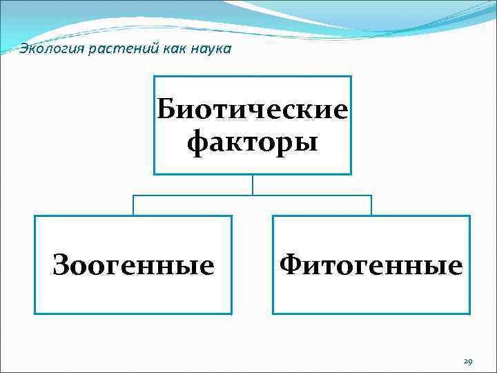 Экология растений как наука Биотические факторы Зоогенные Фитогенные 29 