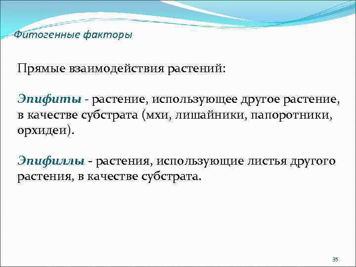 Фитогенные факторы Прямые взаимодействия растений: Эпифиты - растение, использующее другое растение, в качестве субстрата