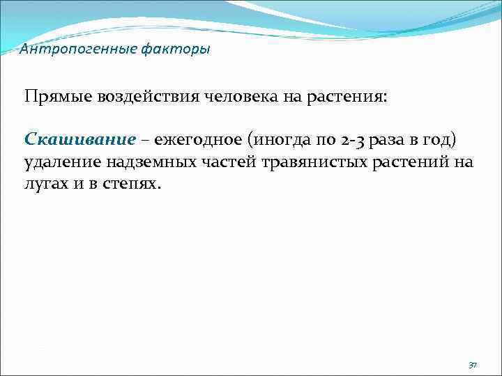 Антропогенные факторы Прямые воздействия человека на растения: Скашивание – ежегодное (иногда по 2 3