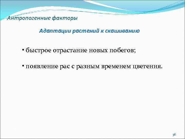 Антропогенные факторы Адаптации растений к скашиванию • быстрое отрастание новых побегов; • появление рас