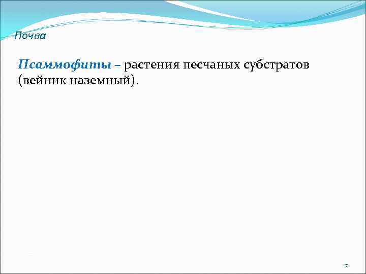 Почва Псаммофиты – растения песчаных субстратов (вейник наземный). 7 
