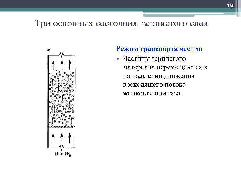 Схема слоев гранулирующей ткани