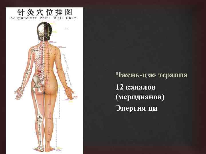 Чжень-цзю терапия 12 каналов (меридианов) Энергия ци 