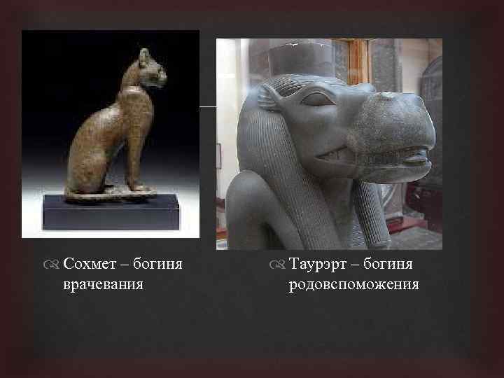  Сохмет – богиня врачевания Таурэрт – богиня родовспоможения 