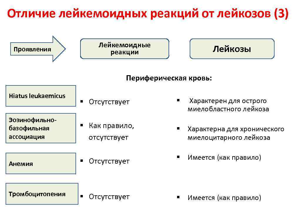 Чем отличаются реакции