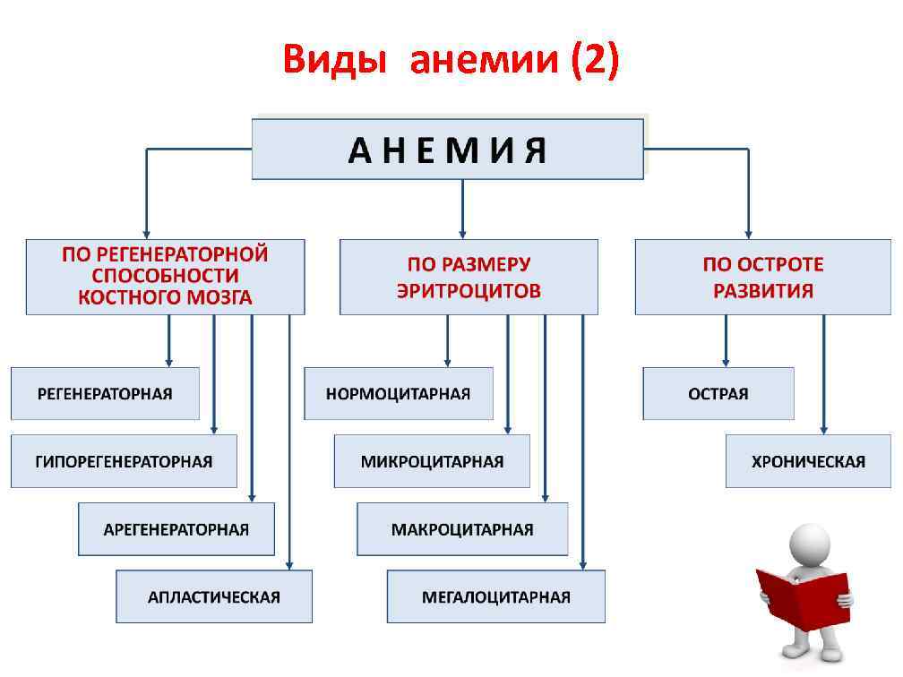 Виды анемии (2) 