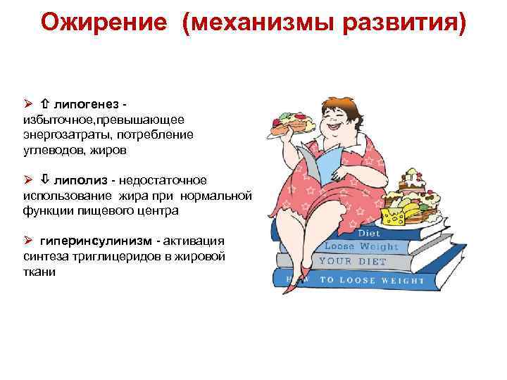 Ожирение (механизмы развития) Ø липогенез - избыточное, превышающее энергозатраты, потребление углеводов, жиров Ø липолиз