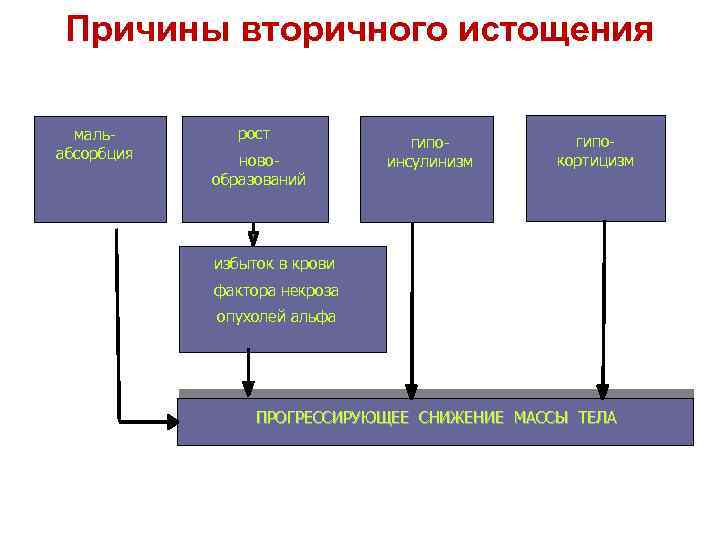 Причины вторичного истощения мальабсорбция рост новообразований гипоинсулинизм гипокортицизм избыток в крови фактора некроза опухолей