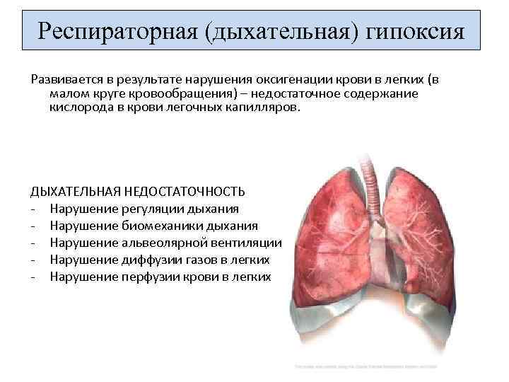 Респираторная (дыхательная) гипоксия Развивается в результате нарушения оксигенации крови в легких (в малом круге