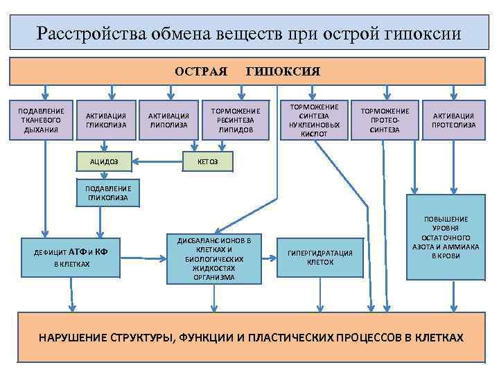 Расстройства обмена веществ при острой гипоксии ОСТРАЯ ПОДАВЛЕНИЕ ТКАНЕВОГО ДЫХАНИЯ АКТИВАЦИЯ ГЛИКОЛИЗА АЦИДОЗ АКТИВАЦИЯ