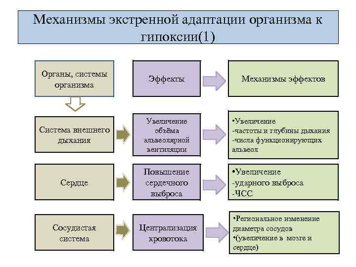 Механизмы экстренной адаптации организма к гипоксии(1) Органы, системы организма Эффекты Система внешнего дыхания Увеличение