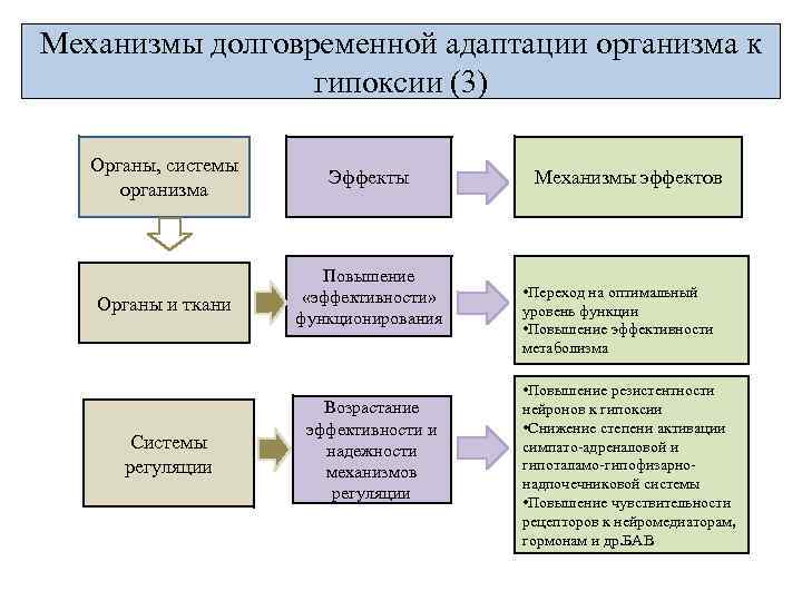 Механизмы долговременной адаптации организма к гипоксии (3) Органы, системы организма Эффекты Органы и ткани