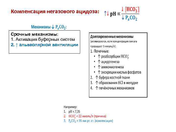 Развитие негазового ацидоза при почечной недостаточности схема