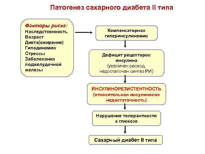 Патогенез сахарного диабета II типа Факторы риска: Наследственность Возраст Диета(ожирение) Гиподинамия Стрессы Заболевания поджелудочной