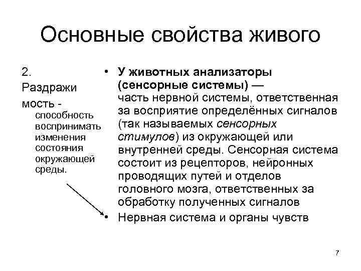 Основные свойства живого • У животных анализаторы (сенсорные системы) — часть нервной системы, ответственная