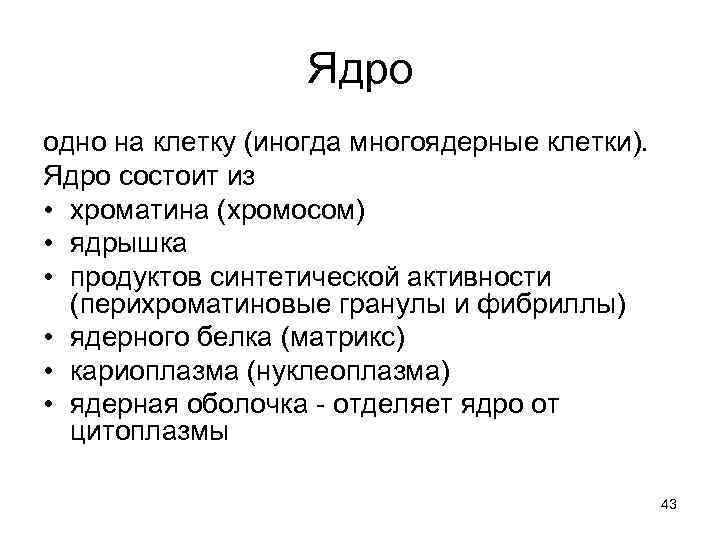 Ядро одно на клетку (иногда многоядерные клетки). Ядро состоит из • хроматина (хромосом) •