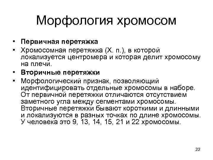 Морфология хромосом • Первичная перетяжка • Хромосомная перетяжка (X. п. ), в которой локализуется
