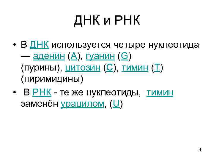 ДНК и РНК • В ДНК используется четыре нуклеотида — аденин (А), гуанин (G)