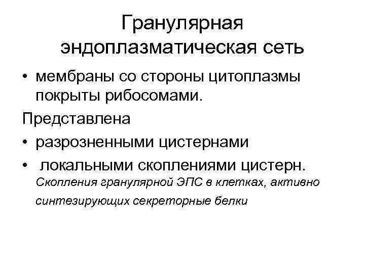 Гранулярная эндоплазматическая сеть • мембраны со стороны цитоплазмы покрыты рибосомами. Представлена • разрозненными цистернами