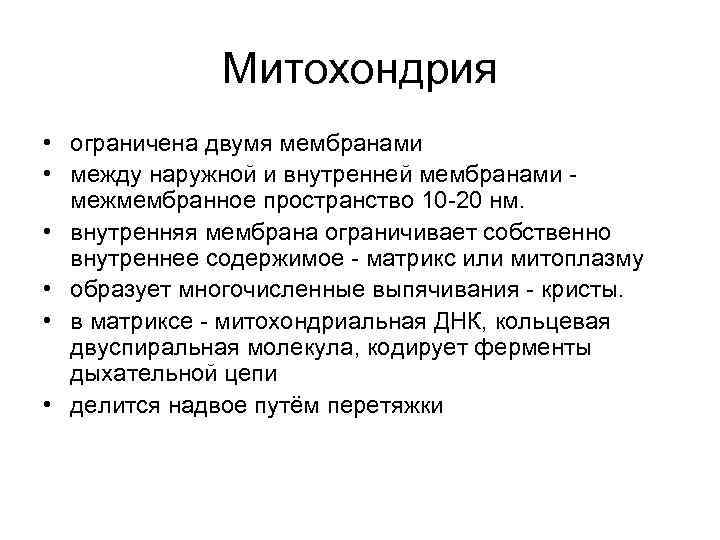 Митохондрия • ограничена двумя мембранами • между наружной и внутренней мембранами - межмембранное пространство