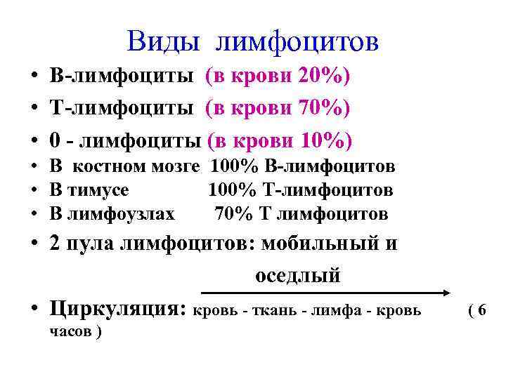 Виды лимфоцитов • В-лимфоциты (в крови 20%) • Т-лимфоциты (в крови 70%) • 0