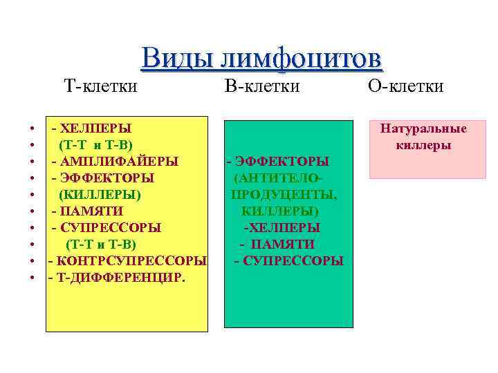 Т-клетки Виды лимфоцитов • - ХЕЛПЕРЫ • (Т-Т и Т-В) • - АМПЛИФАЙЕРЫ •