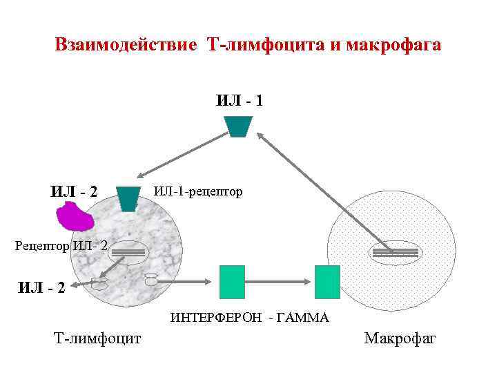 Взаимодействия т