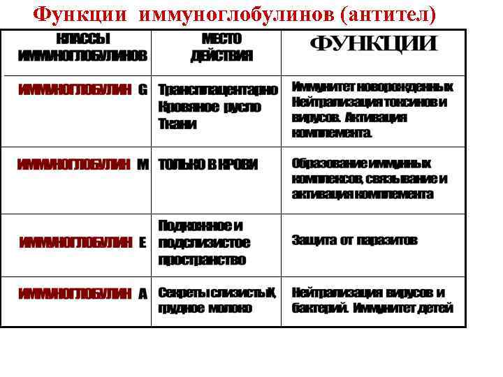 Функции иммуноглобулинов (антител) 