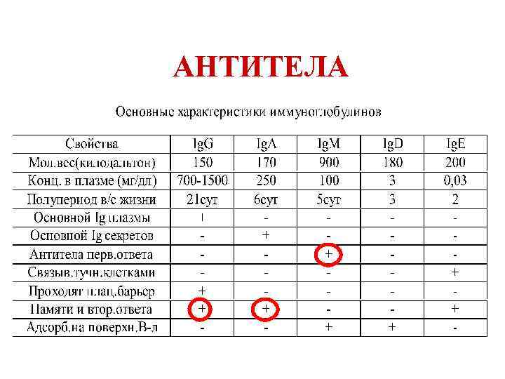 АНТИТЕЛА 