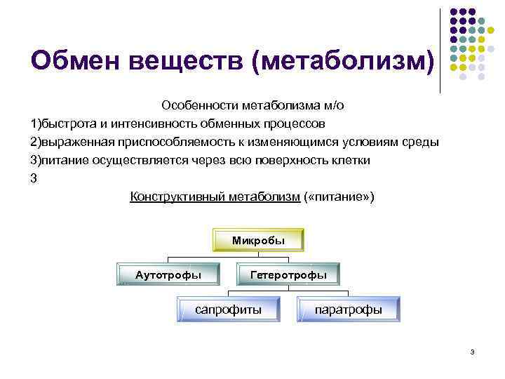 Обмен веществ (метаболизм) Особенности метаболизма м/о 1)быстрота и интенсивность обменных процессов 2)выраженная приспособляемость к