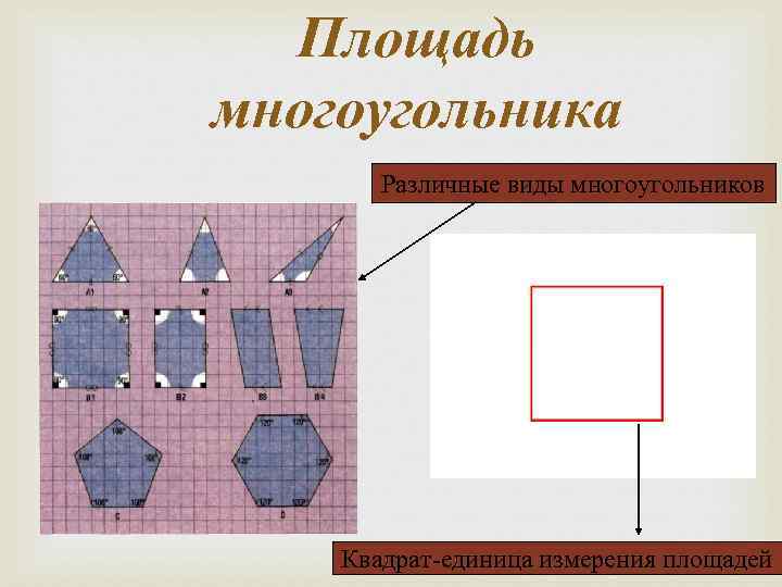 Площадь многоугольника Различные виды многоугольников Квадрат-единица измерения площадей 