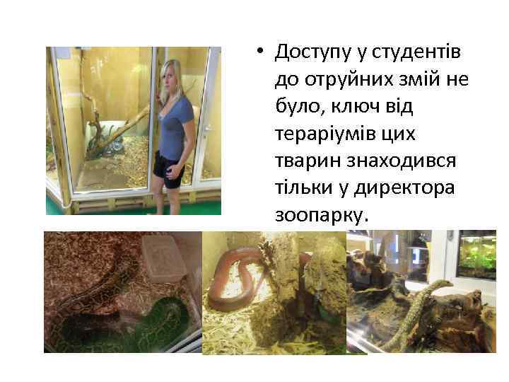  • Доступу у студентів до отруйних змій не було, ключ від тераріумів цих