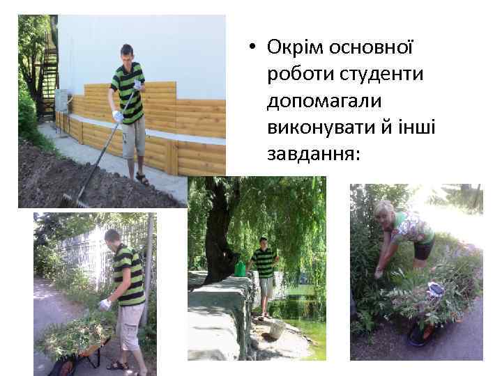  • Окрім основної роботи студенти допомагали виконувати й інші завдання: 