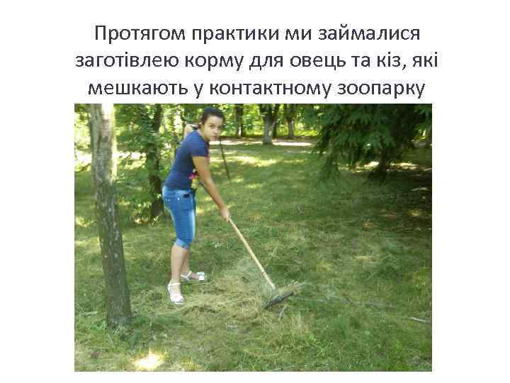 Протягом практики ми займалися заготівлею корму для овець та кіз, які мешкають у контактному