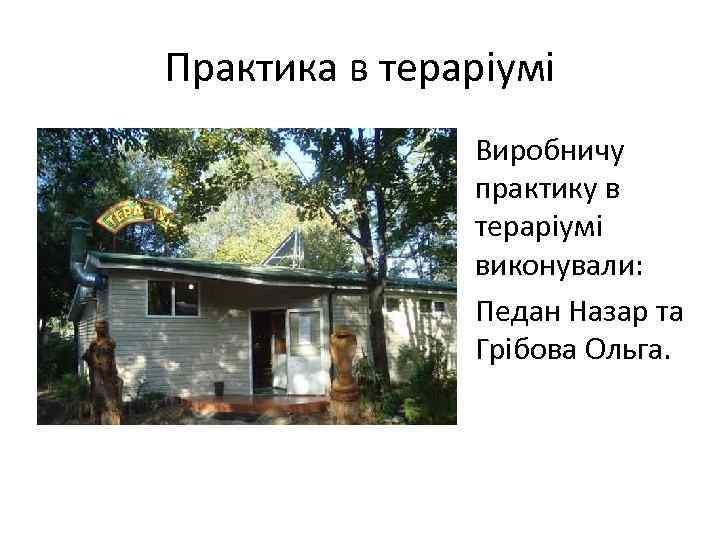Практика в тераріумі Виробничу практику в тераріумі виконували: Педан Назар та Грібова Ольга. 