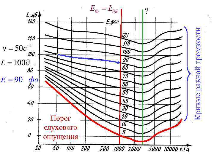Кривые равной громкости Порог слухового ощущения 31 