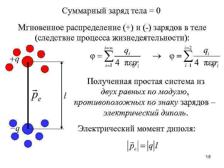 Суммарный заряд тела = 0 Мгновенное распределение (+) и (-) зарядов в теле (следствие