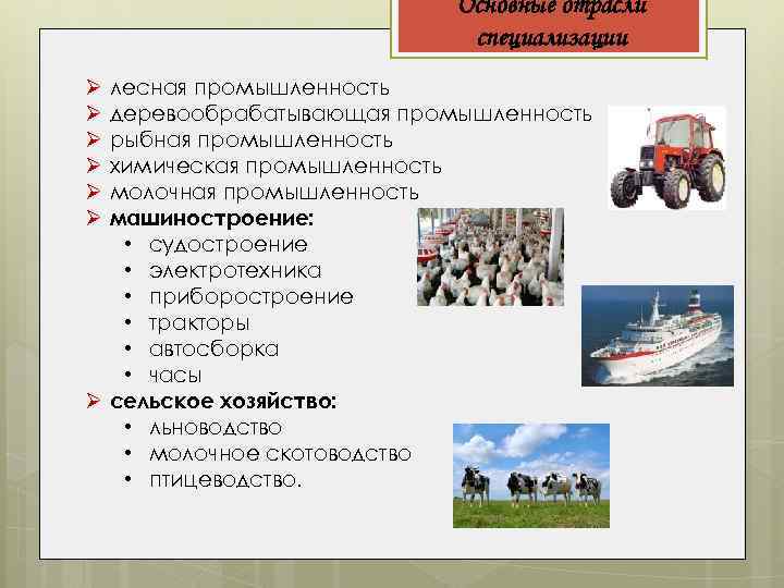 Основные отрасли специализации лесная промышленность деревообрабатывающая промышленность рыбная промышленность химическая промышленность молочная промышленность машиностроение: