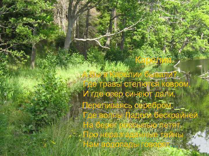 Карелия. А Вы в Карелии бывали? Где травы стелются ковром, И где озер синеют