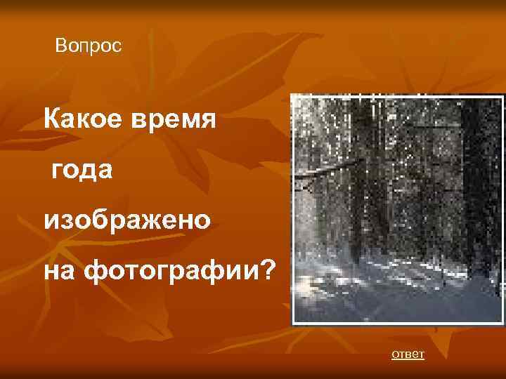 Вопрос Какое время года изображено на фотографии? ответ 
